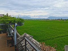 -喜林苑·稻田餐厅(品相府店)