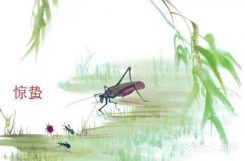 惊蛰节气 惊蜇桃花朵朵压叶枝，春风夜雨玉兰鲜