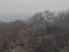 -紫金山索道-售票处