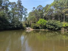 -水濂山森林公园