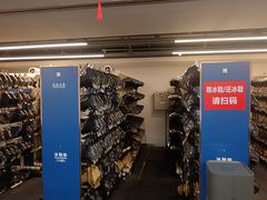 -世界之窗阿尔卑斯冰雪世界