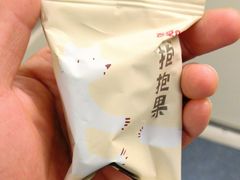 -杨高南路(地铁站)