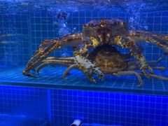 -启东小海鲜(庄先湾路1号店)