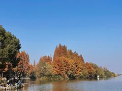 -湘湖大院(越王路店)