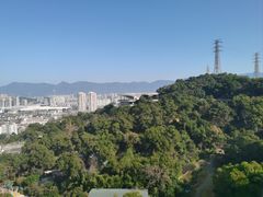 -金鸡山公园