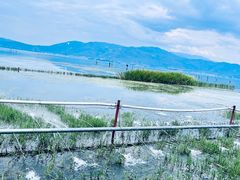 -大理洱海