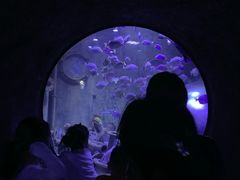 -成都浩海立方海洋公园