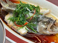清蒸鲈鱼-院里寻菜·精致庭院菜(观沙岭店)