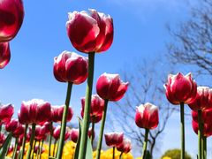 -玄武湖景区-情侣园游乐场