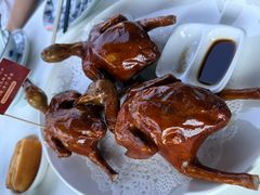 -侨美·唐荔园·40年地道粤菜