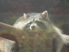 -昆明动物园