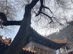 -千佛山风景名胜区