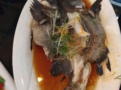清蒸青斑-渔傅·蓝海岸霞浦海鲜(正祥店)
