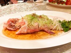 -8餐厅(新葡京酒店)