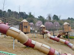 -仙海旅游度假区