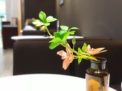 -哈根达斯(皇城恒隆广场店)