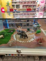 -kidsland(上海环球港店)