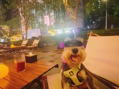 -猫员外精酿啤酒馆(国速荟店)