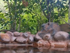 -深业半汤御泉庄温泉