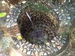 -白草畔自然风景区