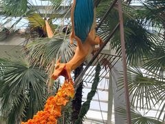 -沈阳植物园