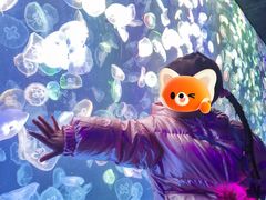 -海合安成都极地海洋公园