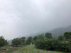 -紫云台香草园