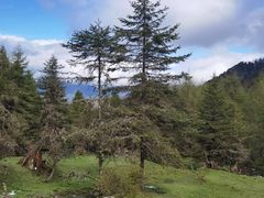 -硗碛藏寨·神木垒景区