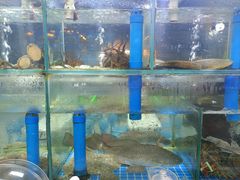 -富临港·蒸汽海鲜·手抓海鲜·炒菜(栈桥店)