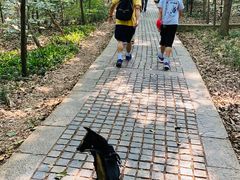 -紫金山天文台