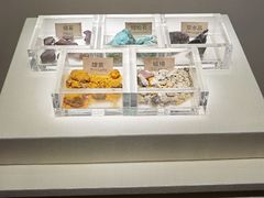 -南越王博物院(王宫展区)