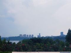 -安宁市宁湖森林公园