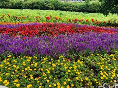 -贵阳市花溪国家城市湿地公园