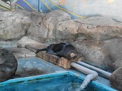 -横店影视城梦幻谷园区