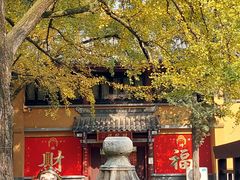 -灵谷景区