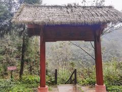 -老字号怡玺·藿香雅鱼(20年雅安店)