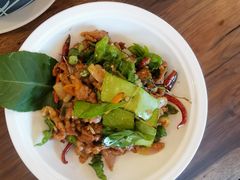 -菌自由丨野生菌火锅特色庭院餐厅(丽江古城店)