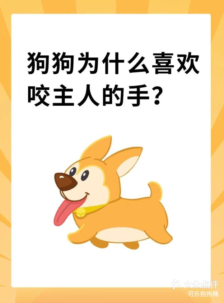 狗为什么咬主人