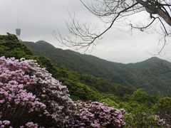 -梧桐山风景名胜区