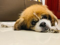 -活鱼馆(宜兴埠店)