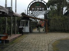 -金山农民画村-枫泾波兰倒置屋