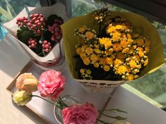 -双季花艺园艺市场(浦东店)