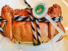 大闸蟹-亢龙太子酒轩(东湖店)