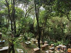 -阳台山森林公园