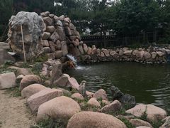 -延盛阁民俗餐厅