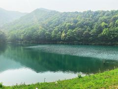 -龙坞茶村