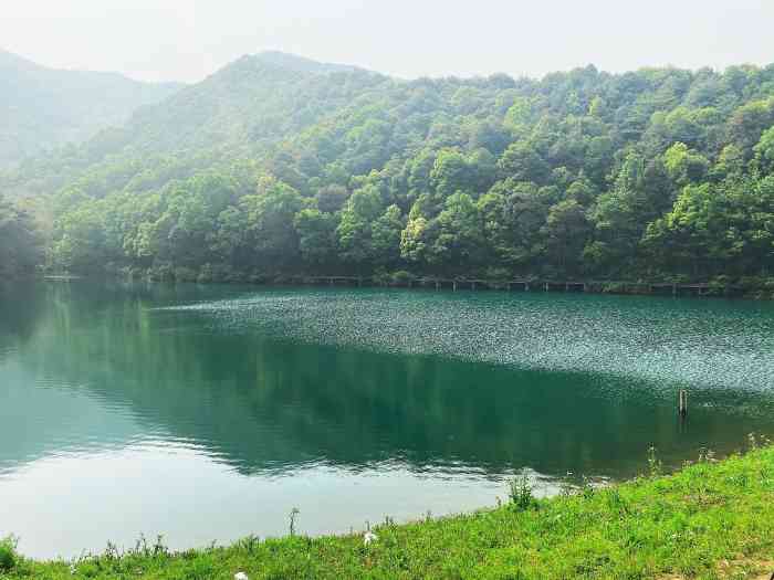 龙坞茶村-"光明寺水库真的太值得一去了!周末去水库."-大众点评移动版
