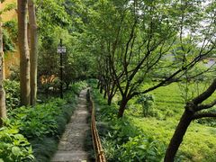 -浙江西子宾馆·瑶园咖啡厅