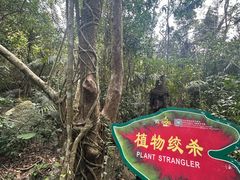 -呀诺达热带雨林