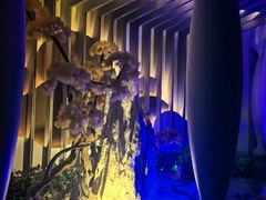 -碧涛阁·泡泡海洋·汤泉洗浴(王府花园店)